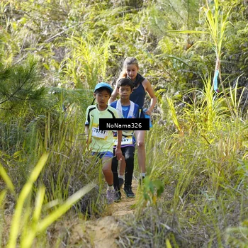 Runner Photo 5311259
