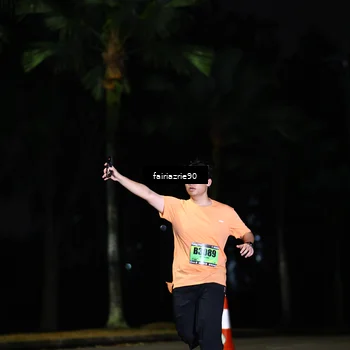 Runner Photo 5311291