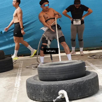 Runner Photo 5311436