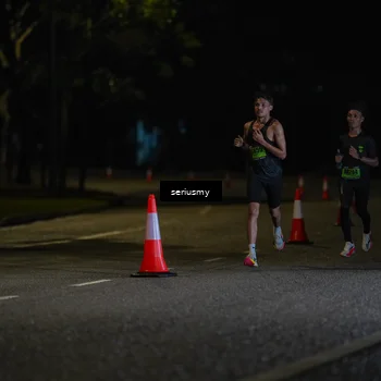 Runner Photo 5311655