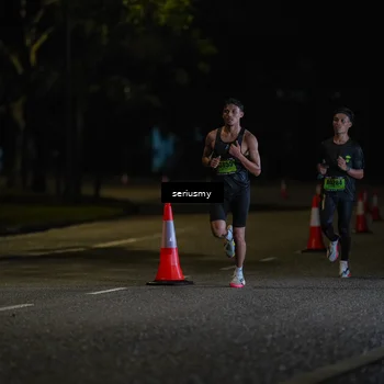Runner Photo 5311658