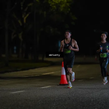 Runner Photo 5311660