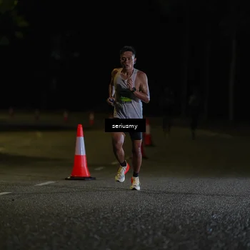 Runner Photo 5311704