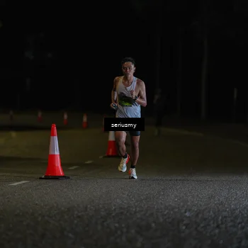 Runner Photo 5311710