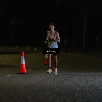 Runner Photo 5311711