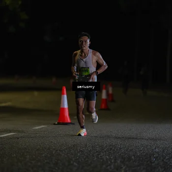 Runner Photo 5311730