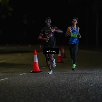 Runner Photo 5311741