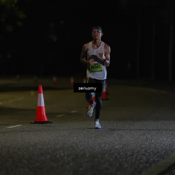 Runner Photo 5311761