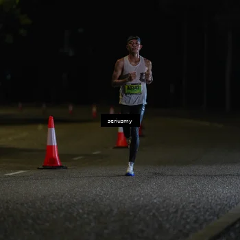Runner Photo 5311763
