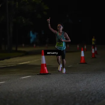 Runner Photo 5311824