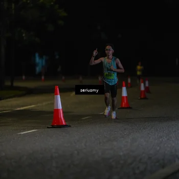 Runner Photo 5311825