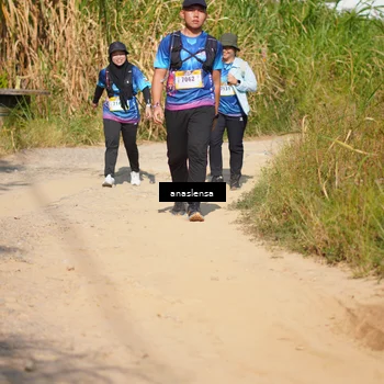 Runner Photo 5311827