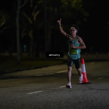 Runner Photo 5311841