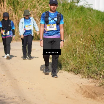 Runner Photo 5311843