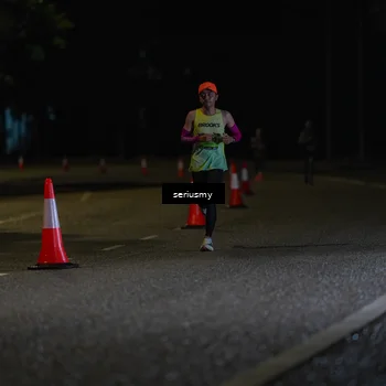 Runner Photo 5311896