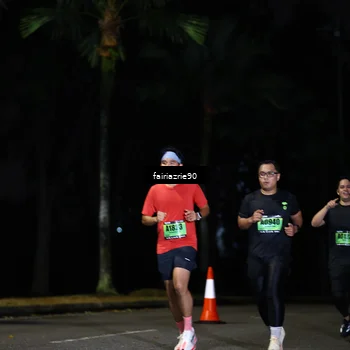 Runner Photo 5311935