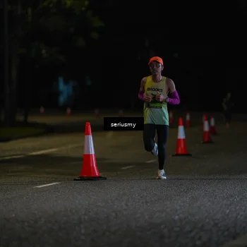 Runner Photo 5311955