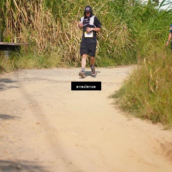 Runner Photo 5312076