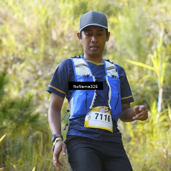 Runner Photo 5312194