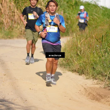 Runner Photo 5312221