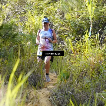 Runner Photo 5312247
