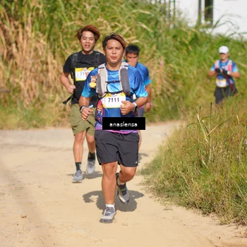 Runner Photo 5312261