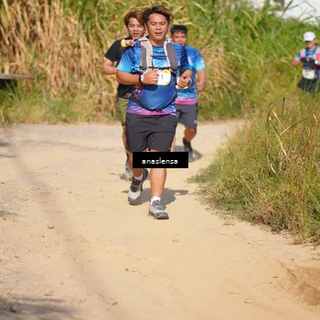Runner Photo 5312267