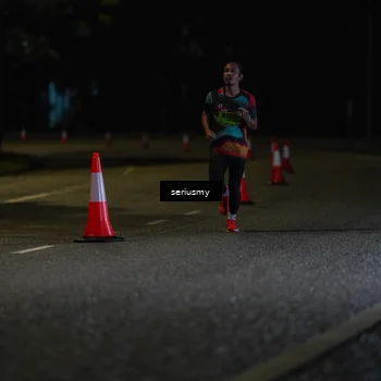 Runner Photo 5312365
