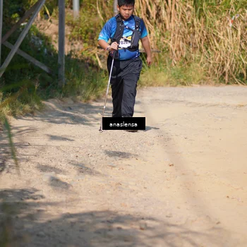 Runner Photo 5312494