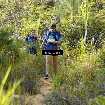 Runner Photo 5312551