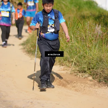 Runner Photo 5312603