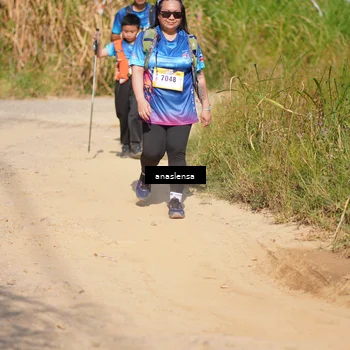 Runner Photo 5312663