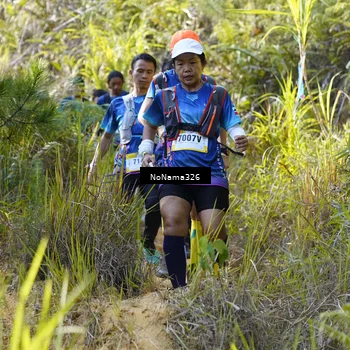 Runner Photo 5312680