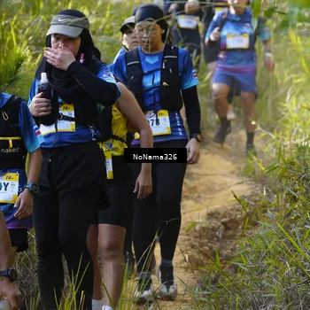 Runner Photo 5312725