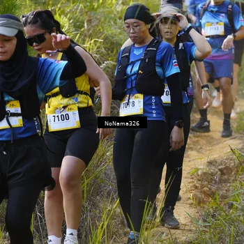 Runner Photo 5312732