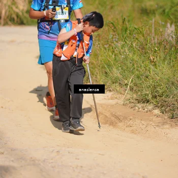 Runner Photo 5312754