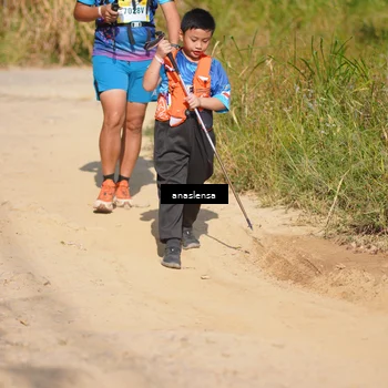 Runner Photo 5312838