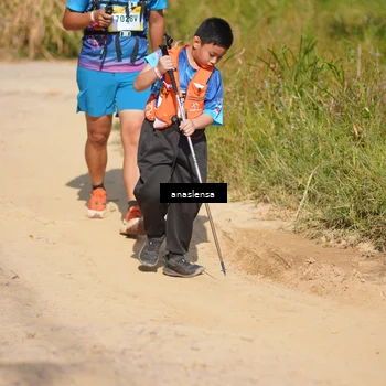 Runner Photo 5312844