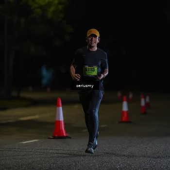 Runner Photo 5312901