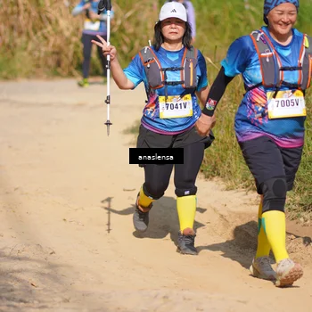 Runner Photo 5313188
