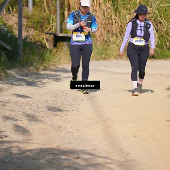 Runner Photo 5313337