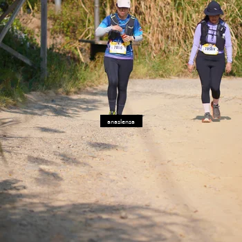 Runner Photo 5313342