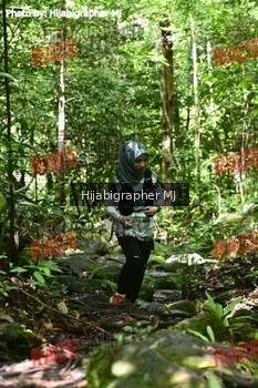 Runner Photo 531344