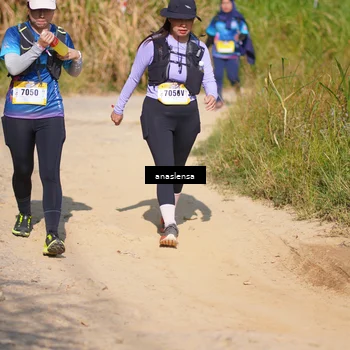 Runner Photo 5313482