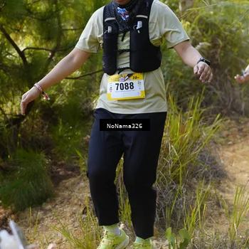 Runner Photo 5313538