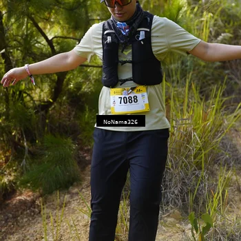 Runner Photo 5313604