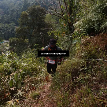 Runner Photo 5313747