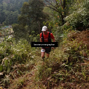 Runner Photo 5313758