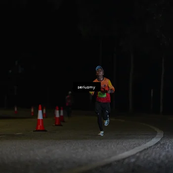 Runner Photo 5313776