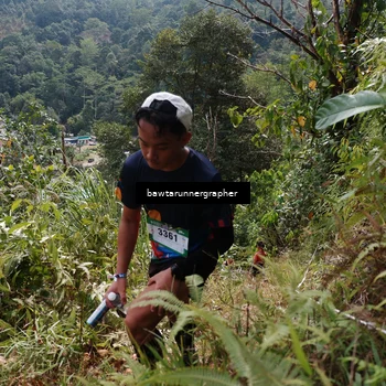Runner Photo 5313806
